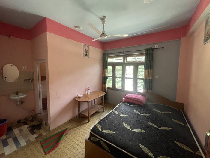 A double room with a wide bed, ceiling fan, side table and a window onto the trees