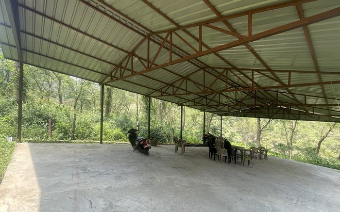 Inside the covered hall: timber trusses, a green tin roof and a wide concrete floor, open on every side to the forest